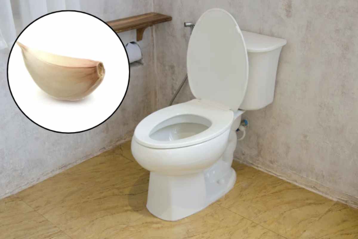Scopri che succede se metti uno spicchio d’aglio nel water: l’effetto che nessuno si aspetta