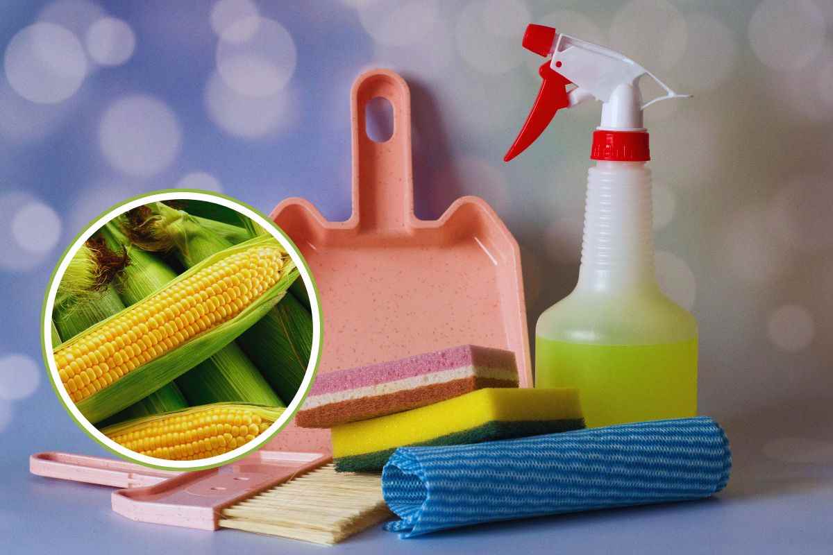 Sembra assurdo ma funziona davvero: il detergente multiuso al mais che ti semplifica la vita